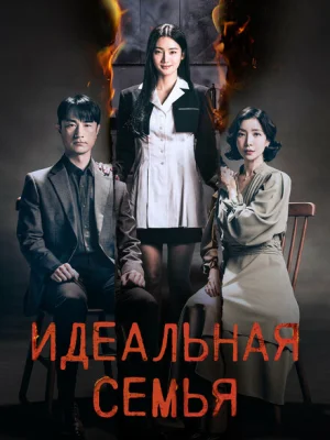 Идеальная семья